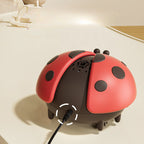 Magic Ladybug for Babies